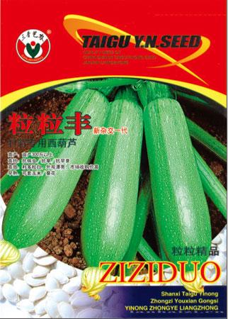 粒粒丰—西葫芦种子 