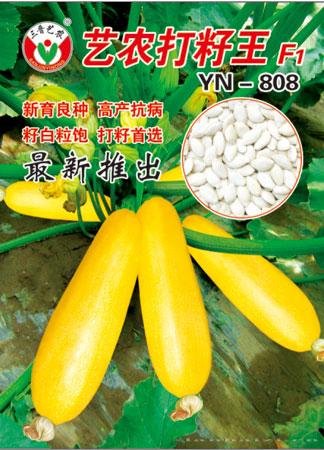 艺农打籽王—西葫芦种子 