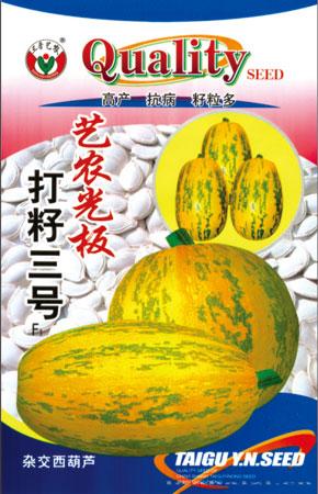 艺农光板打籽三号—甜瓜种子 