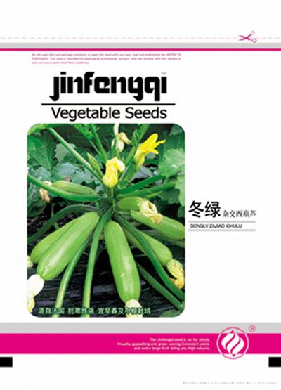 冬绿—西葫芦种子 