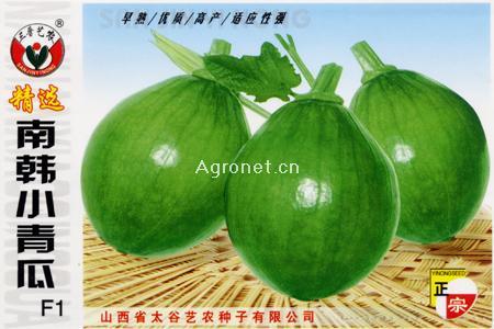 南韩小青瓜F1—黄瓜种子 