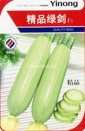  精品绿剑F1—西葫芦种子 