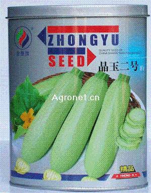 晶玉二号F1—西葫芦种子 