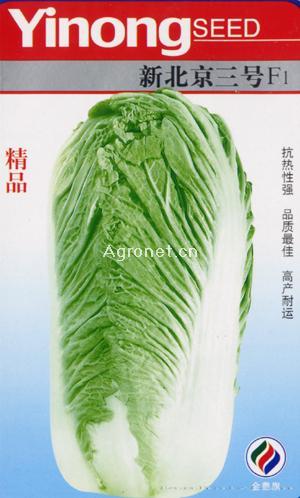 新北京三号--白菜种子 