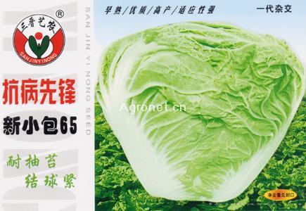  抗病先峰新小包65—白菜种子 