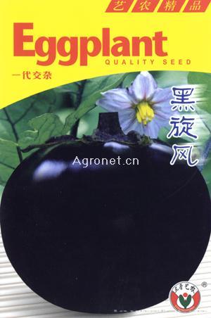 黑旋风杂交一代—茄子种子