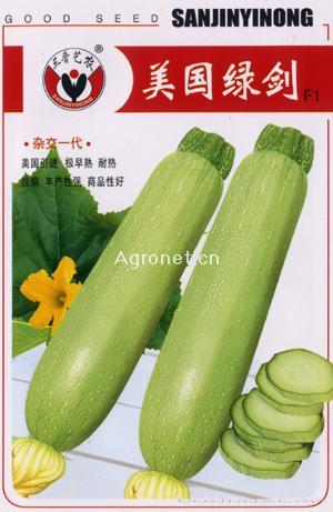  美国绿剑-西葫芦种子 