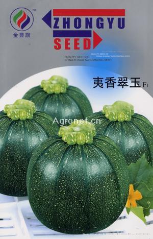 夷香翠玉-西葫芦种子 