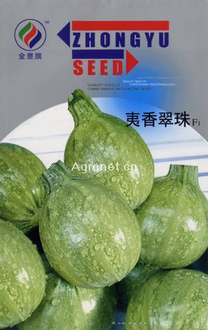 夷香翠珠--西葫芦种子 