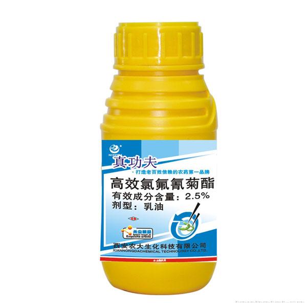 真功夫