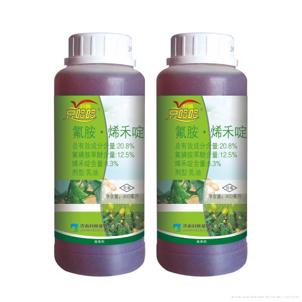 科赛豆哈哈