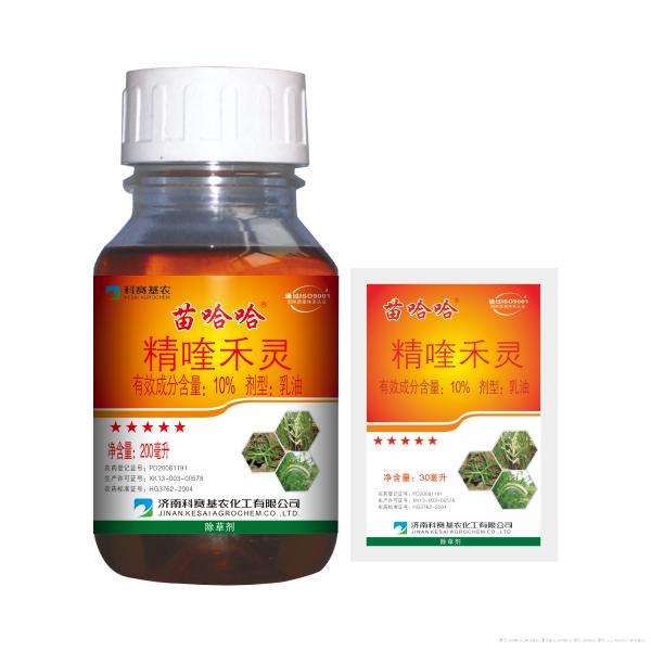 苗哈哈