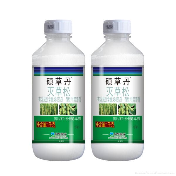 硕草丹