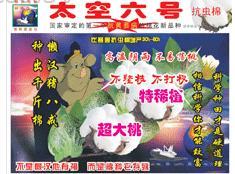 金粮源-六号