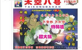 金粮源-太空八号