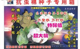 金粮源-抗虫棉