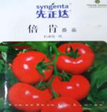 番茄种子——倍肯