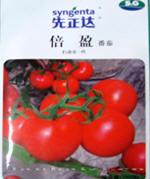 番茄种子——倍盈