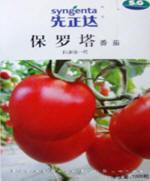 番茄种子——保罗塔
