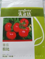番茄种子——拉比