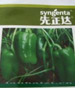 甜椒种子——先正达奥黛丽太空椒种子