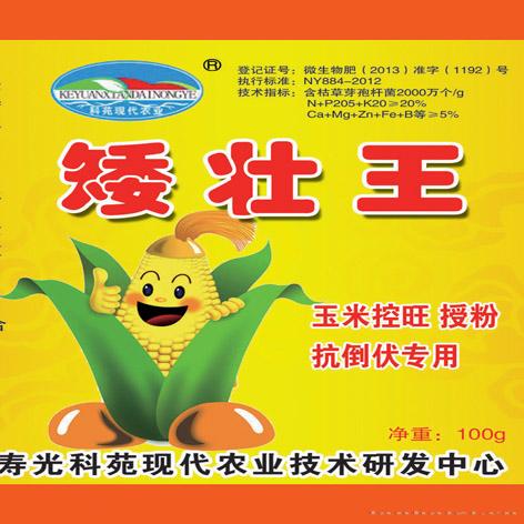 矮壮王