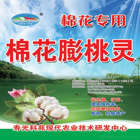棉花