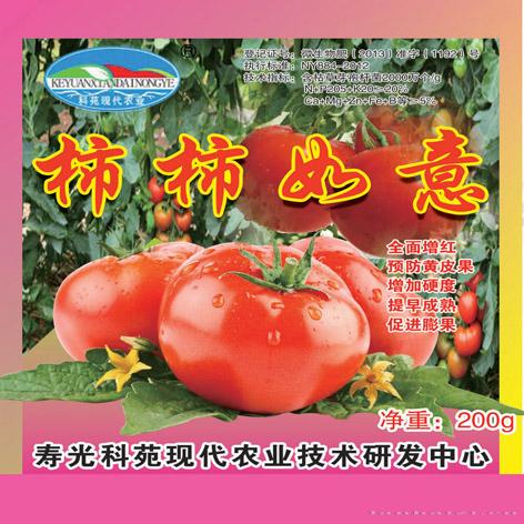 西红柿