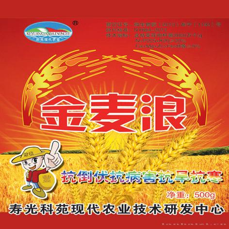 小麦