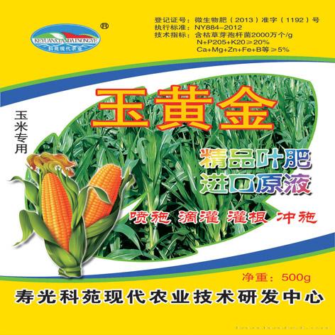 玉米
