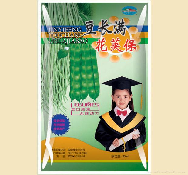 豆长满花荚保