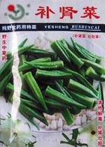 秋葵种子——补肾菜