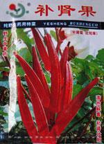 秋葵种子——补肾果