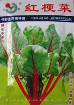 特菜种子——红梗菜