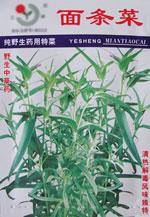 特菜种子——面条菜