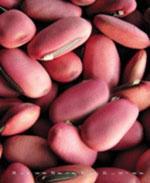 刀豆种子——红刀豆种子
