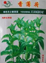 特菜种子——香薄荷