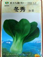 油菜种子——冬秀