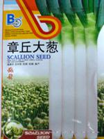章丘大葱