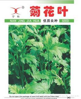 菊花叶——香菜