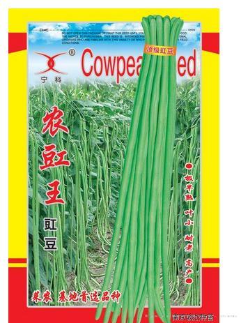 农豇王——早熟品种