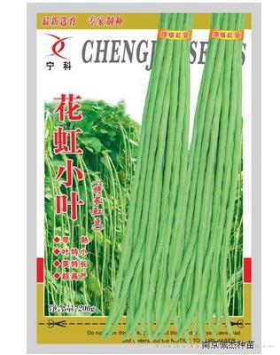 花虹小叶——早熟品种
