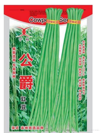公爵——中早熟品种