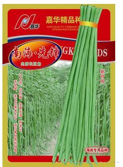 南海先锋——中早熟品种