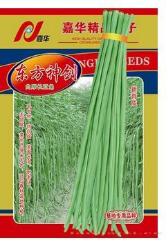 东方神剑——中早熟品种