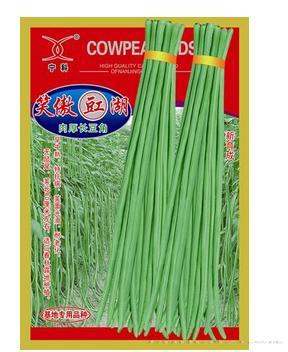 笑傲豇湖——中早熟品种