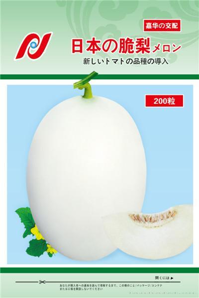 优选脆梨——瓜类