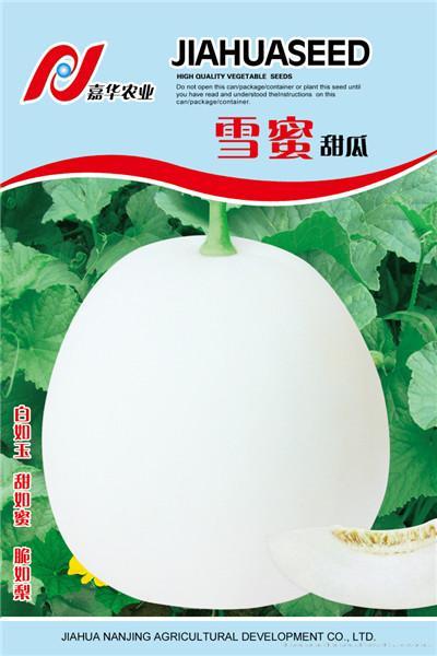 雪蜜甜瓜——瓜类