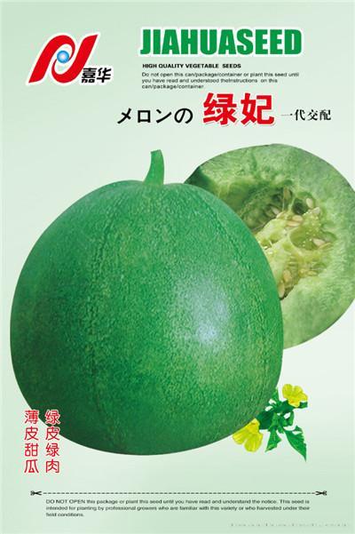 绿妃——瓜类