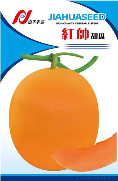 红帅——瓜类